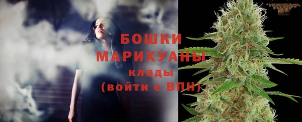 молекула духа Бронницы