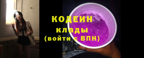 молекула духа Бронницы