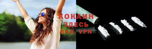 молекула духа Бронницы