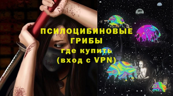 молекула духа Бронницы