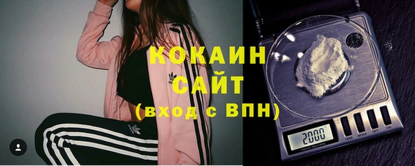 молекула духа Бронницы